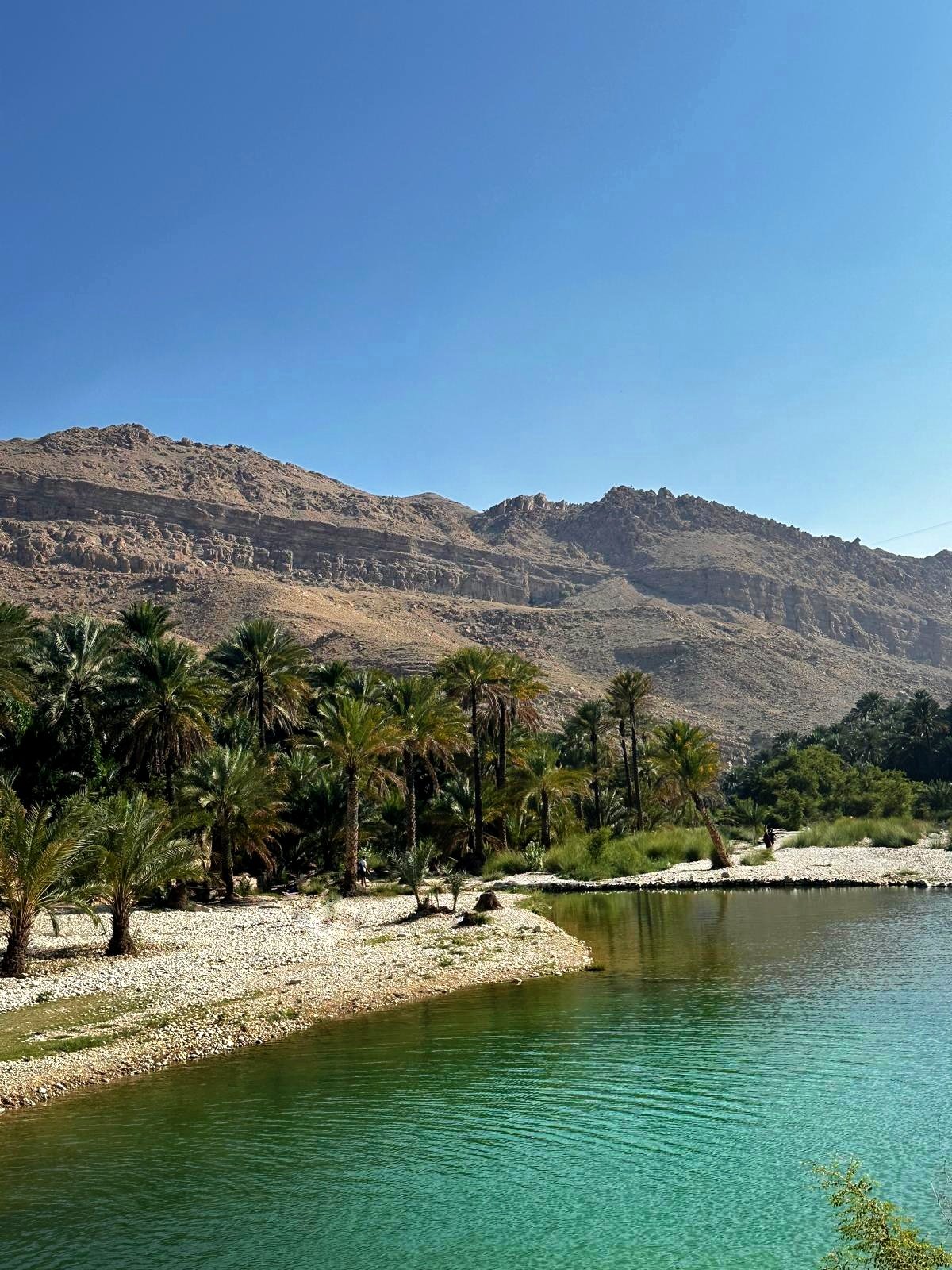 Vue du Wadi bani khalid à Oman