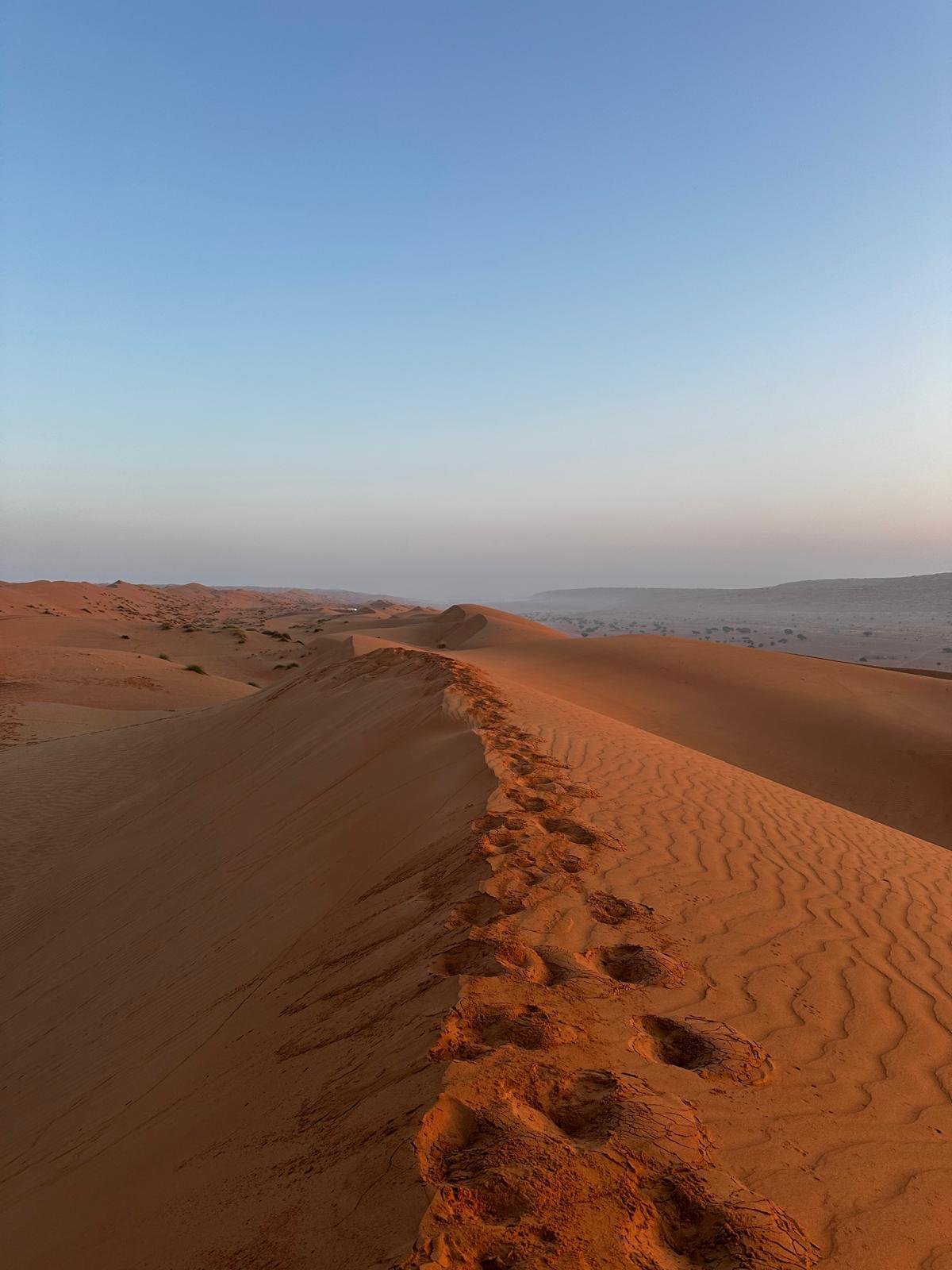 Vue sur les dunes du désert Wahiba Sands, Oman