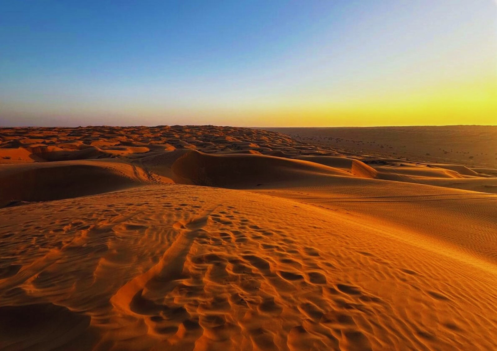 Désert Wahiba Sands à Oman