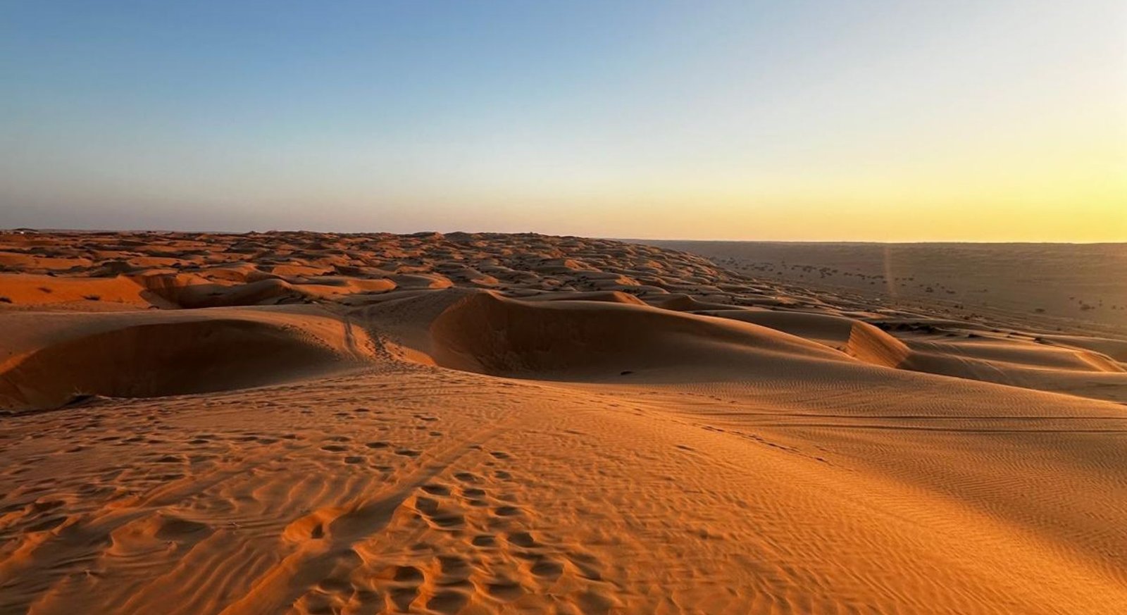 Vue sur les dunes du désert Wahiba Sands à Oman