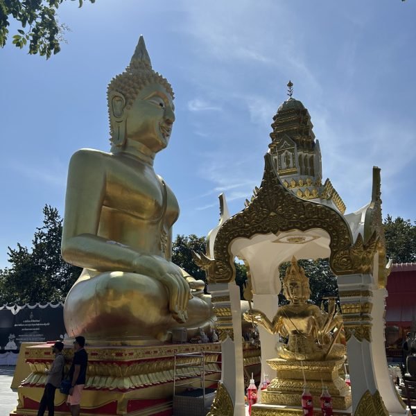 7C4A53CC-C40D-4722-A5E8-45C358D4284D_L0_001-01_01_2026 18_35_57