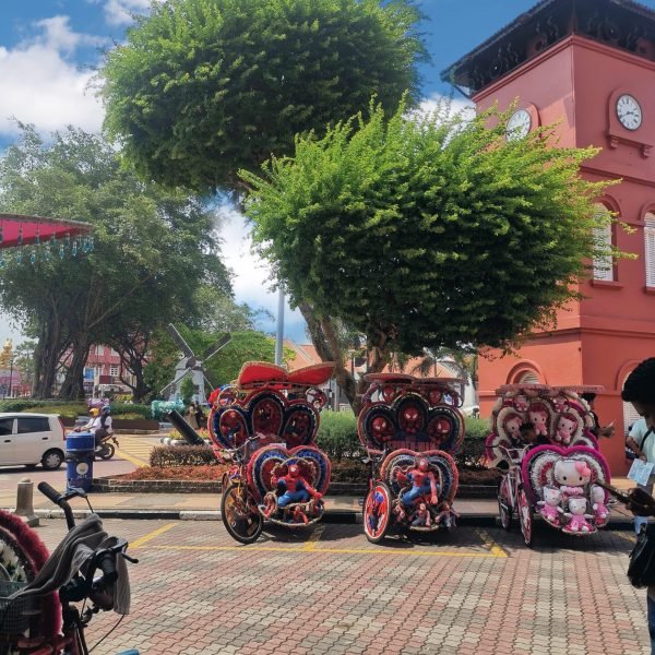 7C5FD10D-74FF-4DB4-8B79-A8F12AE85A13_L0_001-02_03_2026 17_10_18