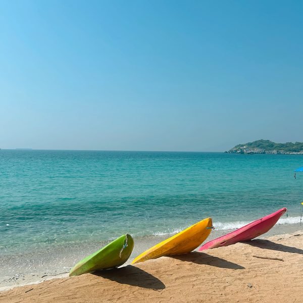 A3EED201-DC22-4F58-B8DD-9A2516C90DBE_L0_001-15_01_2026 13_26_27