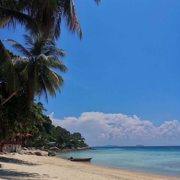 IMG_20230919_140346_Original