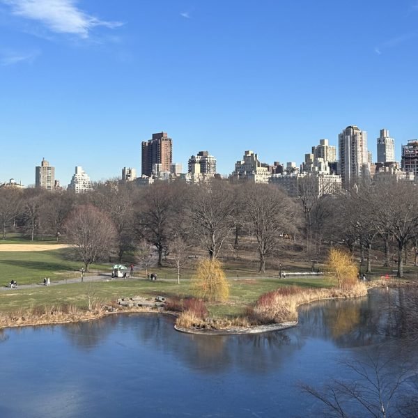Central park, vue sur la skyline de New York